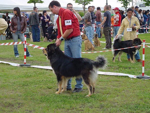 Immagine 037.jpg